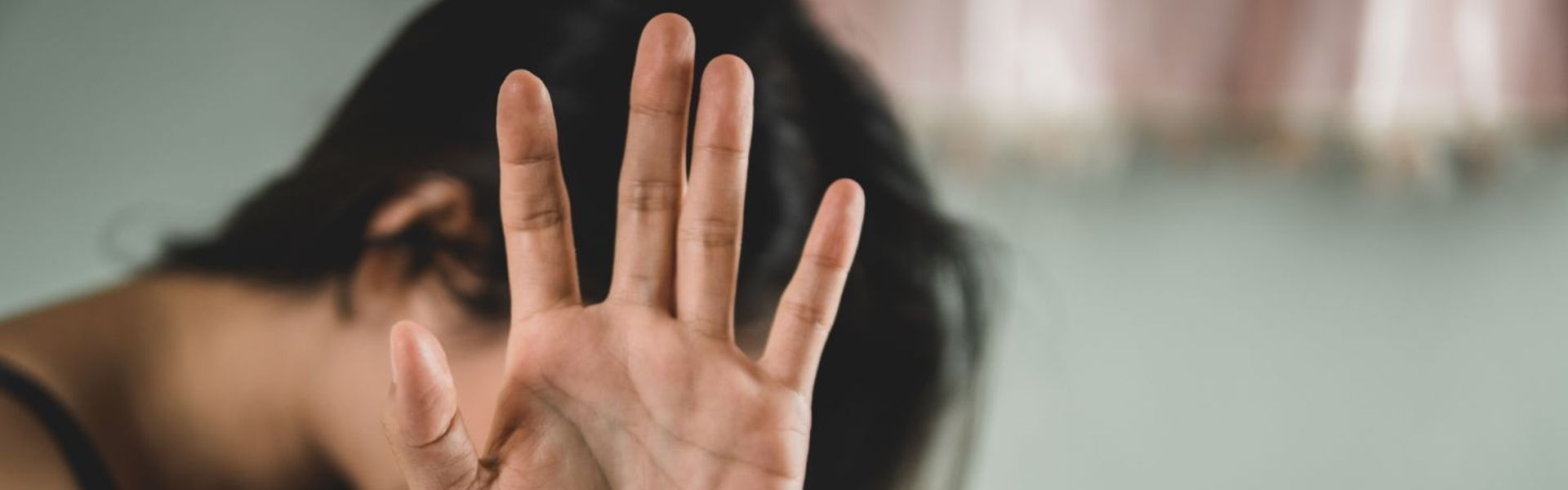 Domestic Violence Category